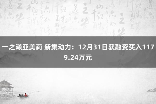 一之濑亚美莉 新集动力：12月31日获融资买入1179.24万元