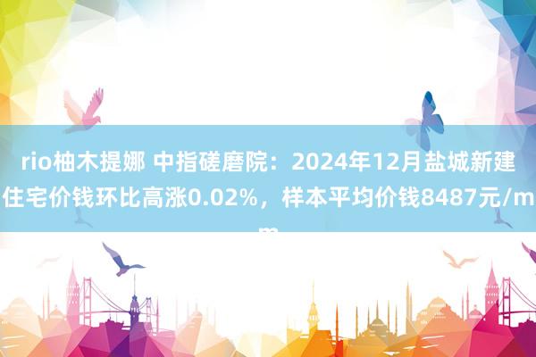 rio柚木提娜 中指磋磨院：2024年12月盐城新建住宅价钱环比高涨0.02%，样本平均价钱8487元/m