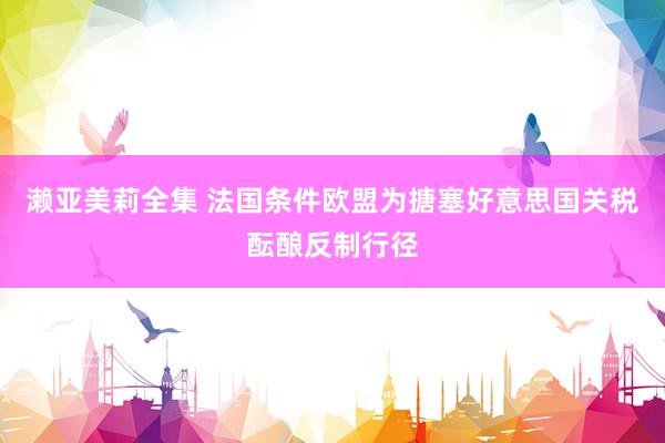 濑亚美莉全集 法国条件欧盟为搪塞好意思国关税酝酿反制行径