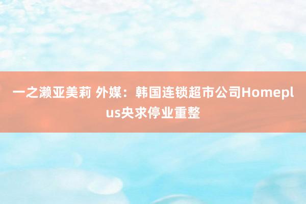 一之濑亚美莉 外媒：韩国连锁超市公司Homeplus央求停业重整