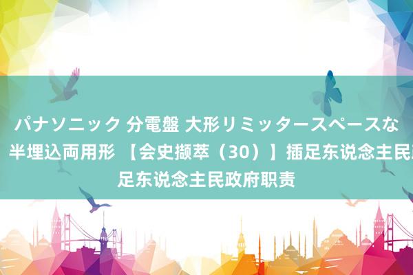 パナソニック 分電盤 大形リミッタースペースなし 露出・半埋込両用形 【会史撷萃（30）】插足东说念主民政府职责