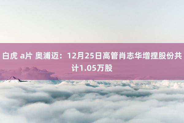 白虎 a片 奥浦迈：12月25日高管肖志华增捏股份共计1.05万股