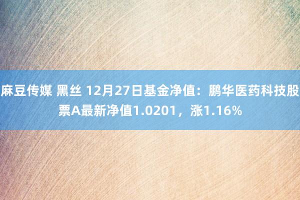麻豆传媒 黑丝 12月27日基金净值：鹏华医药科技股票A最新净值1.0201，涨1.16%