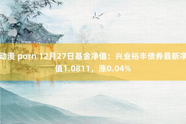 动漫 porn 12月27日基金净值：兴业裕丰债券最新净值1.0811，涨0.04%