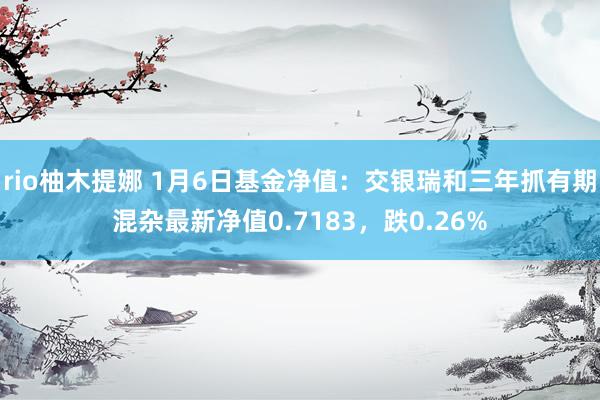 rio柚木提娜 1月6日基金净值：交银瑞和三年抓有期混杂最新净值0.7183，跌0.26%