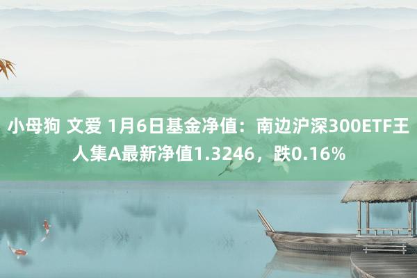 小母狗 文爱 1月6日基金净值：南边沪深300ETF王人集A最新净值1.3246，跌0.16%