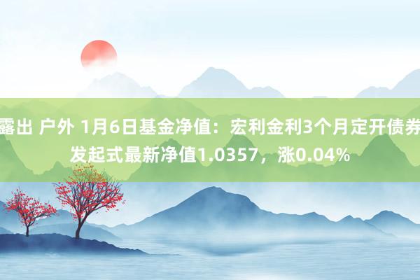 露出 户外 1月6日基金净值：宏利金利3个月定开债券发起式最新净值1.0357，涨0.04%