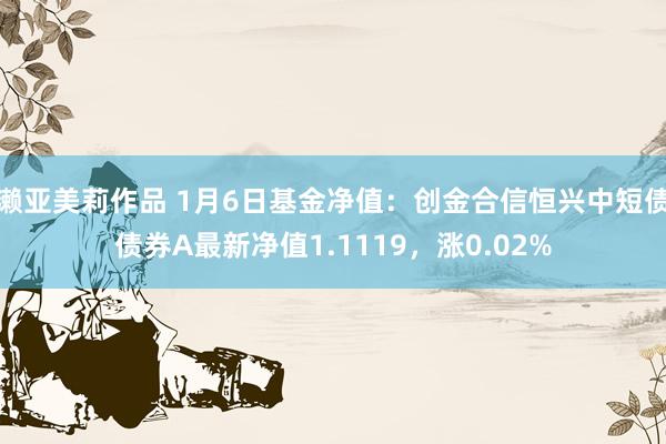 濑亚美莉作品 1月6日基金净值：创金合信恒兴中短债债券A最新净值1.1119，涨0.02%