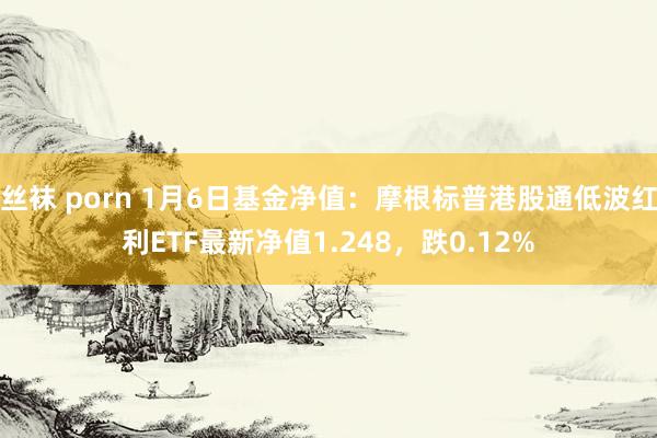 丝袜 porn 1月6日基金净值：摩根标普港股通低波红利ETF最新净值1.248，跌0.12%