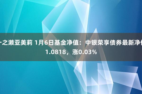 一之濑亚美莉 1月6日基金净值：中银荣享债券最新净值1.0818，涨0.03%