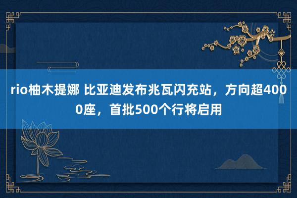 rio柚木提娜 比亚迪发布兆瓦闪充站，方向超4000座，首批500个行将启用