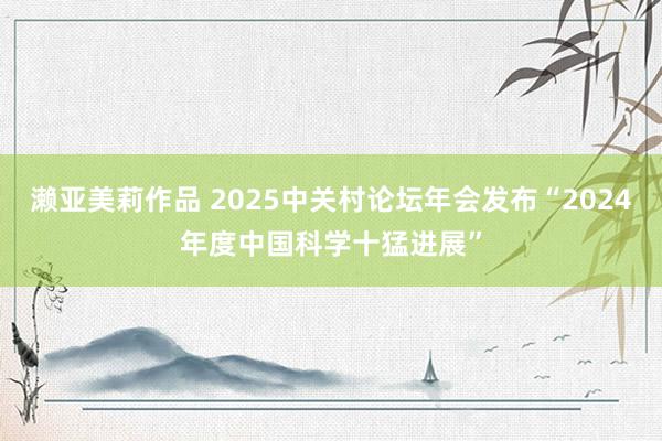 濑亚美莉作品 2025中关村论坛年会发布“2024年度中国科学十猛进展”
