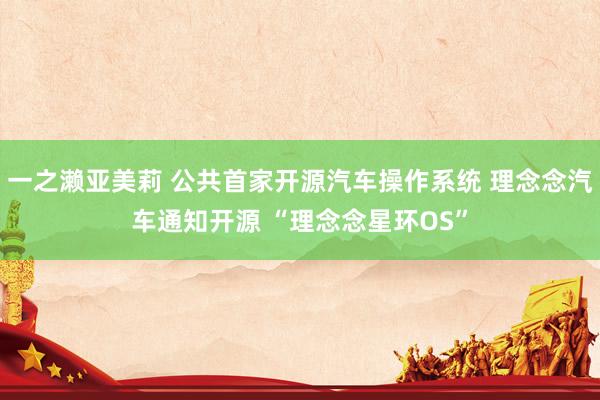 一之濑亚美莉 公共首家开源汽车操作系统 理念念汽车通知开源 “理念念星环OS”