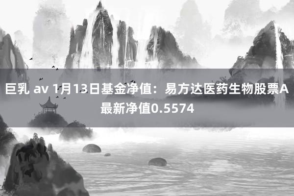 巨乳 av 1月13日基金净值：易方达医药生物股票A最新净值0.5574