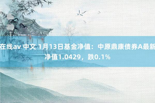 在线av 中文 1月13日基金净值：中原鼎康债券A最新净值1.0429，跌0.1%