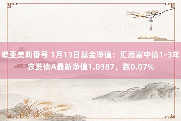 濑亚美莉番号 1月13日基金净值：汇添富中债1-3年农发债A最新净值1.0387，跌0.07%