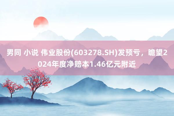 男同 小说 伟业股份(603278.SH)发预亏，瞻望2024年度净赔本1.46亿元附近