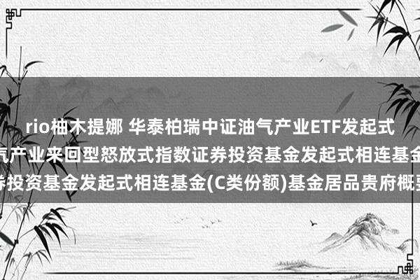 rio柚木提娜 华泰柏瑞中证油气产业ETF发起式相连C: 华泰柏瑞中证油气产业来回型怒放式指数证券投资基金发起式相连基金(C类份额)基金居品贵府概要