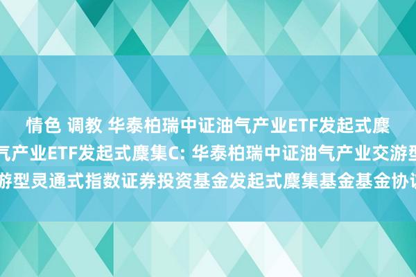 情色 调教 华泰柏瑞中证油气产业ETF发起式麇集A,华泰柏瑞中证油气产业ETF发起式麇集C: 华泰柏瑞中证油气产业交游型灵通式指数证券投资基金发起式麇集基金基金协议及招募确认书提醒性公告