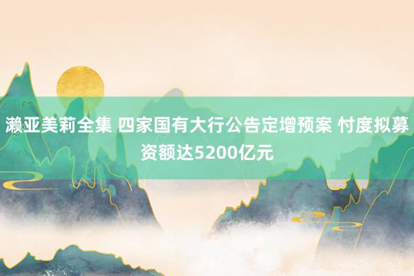 濑亚美莉全集 四家国有大行公告定增预案 忖度拟募资额达5200亿元