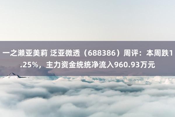 一之濑亚美莉 泛亚微透（688386）周评：本周跌1.25%，主力资金统统净流入960.93万元
