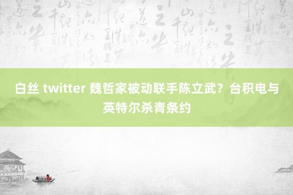 白丝 twitter 魏哲家被动联手陈立武？台积电与英特尔杀青条约