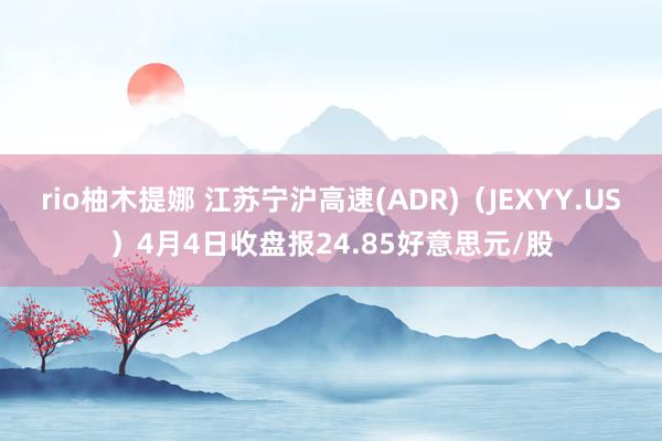 rio柚木提娜 江苏宁沪高速(ADR)（JEXYY.US）4月4日收盘报24.85好意思元/股