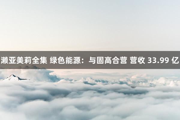 濑亚美莉全集 绿色能源：与固高合营 营收 33.99 亿