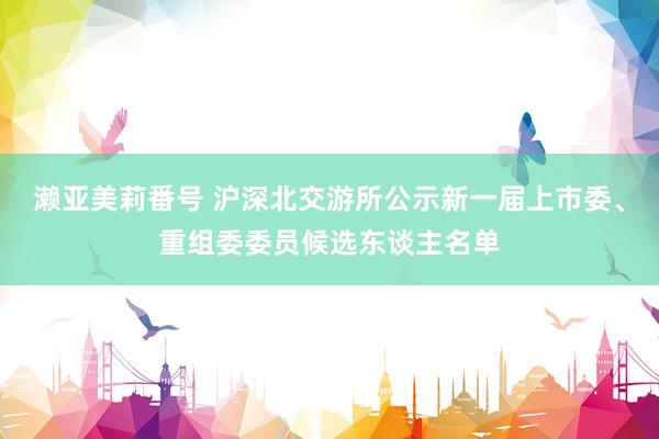 濑亚美莉番号 沪深北交游所公示新一届上市委、重组委委员候选东谈主名单