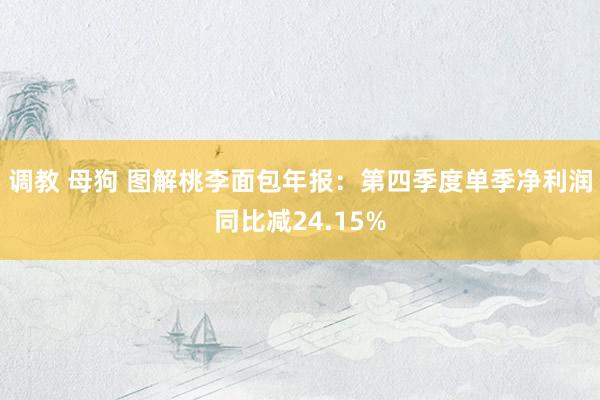调教 母狗 图解桃李面包年报：第四季度单季净利润同比减24.15%