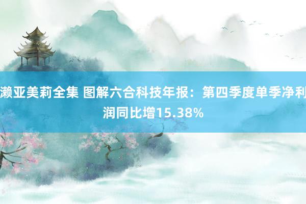 濑亚美莉全集 图解六合科技年报：第四季度单季净利润同比增15.38%
