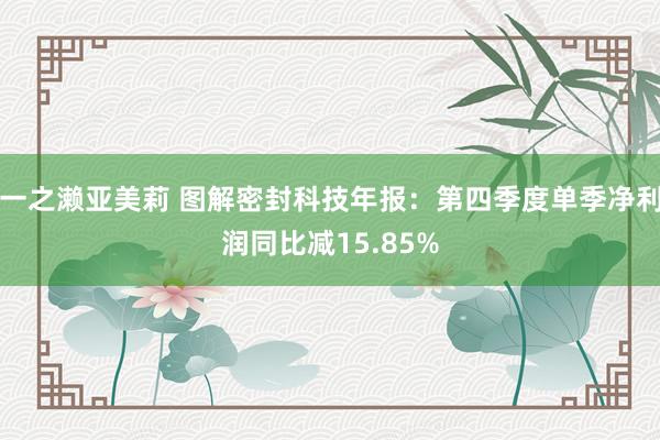 一之濑亚美莉 图解密封科技年报：第四季度单季净利润同比减15.85%