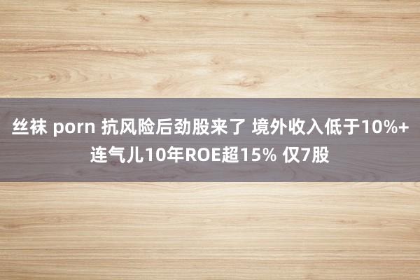 丝袜 porn 抗风险后劲股来了 境外收入低于10%+连气儿10年ROE超15% 仅7股