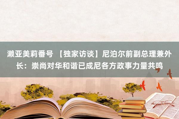 濑亚美莉番号 【独家访谈】尼泊尔前副总理兼外长：崇尚对华和谐已成尼各方政事力量共鸣