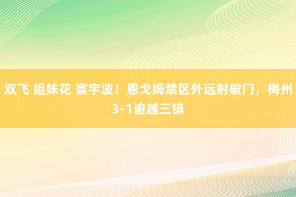 双飞 姐妹花 寰宇波！恩戈姆禁区外远射破门，梅州3-1逾越三镇