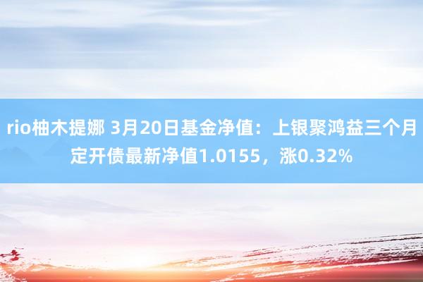 rio柚木提娜 3月20日基金净值：上银聚鸿益三个月定开债最新净值1.0155，涨0.32%