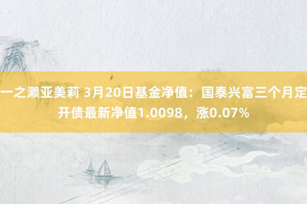 一之濑亚美莉 3月20日基金净值：国泰兴富三个月定开债最新净值1.0098，涨0.07%