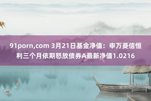 91porn，com 3月21日基金净值：申万菱信恒利三个月依期怒放债券A最新净值1.0216
