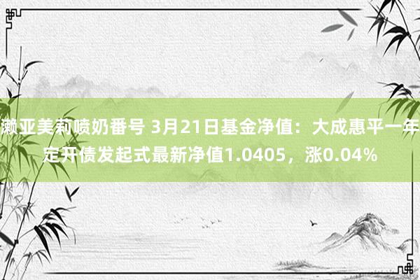 濑亚美莉喷奶番号 3月21日基金净值：大成惠平一年定开债发起式最新净值1.0405，涨0.04%