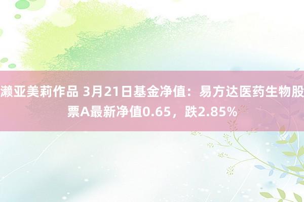 濑亚美莉作品 3月21日基金净值：易方达医药生物股票A最新净值0.65，跌2.85%