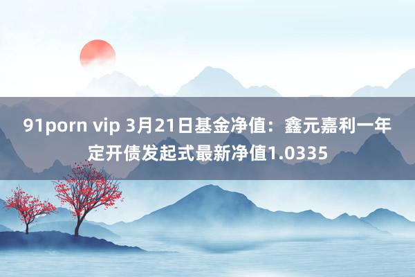 91porn vip 3月21日基金净值：鑫元嘉利一年定开债发起式最新净值1.0335
