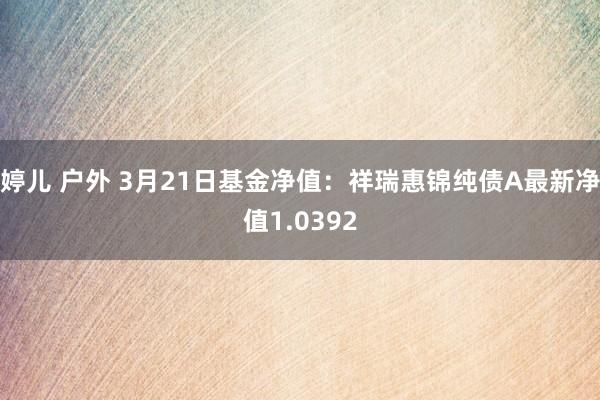 婷儿 户外 3月21日基金净值：祥瑞惠锦纯债A最新净值1.0392