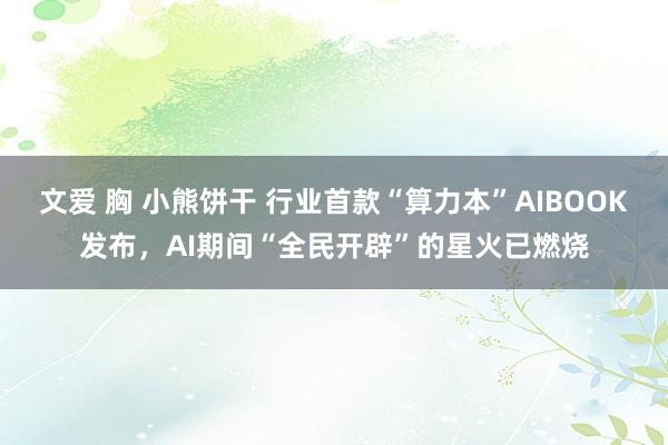 文爱 胸 小熊饼干 行业首款“算力本”AIBOOK发布，AI期间“全民开辟”的星火已燃烧