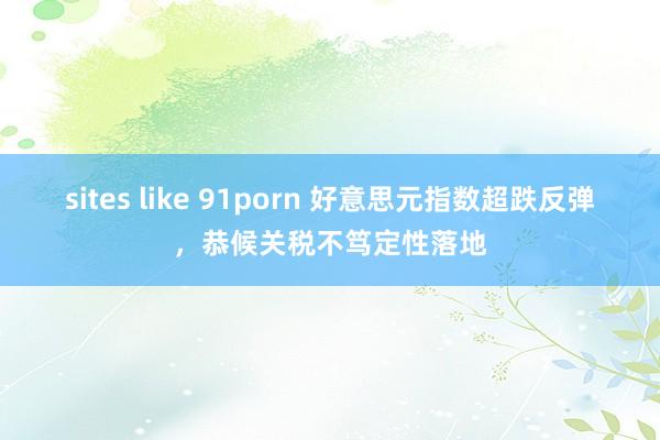 sites like 91porn 好意思元指数超跌反弹，恭候关税不笃定性落地