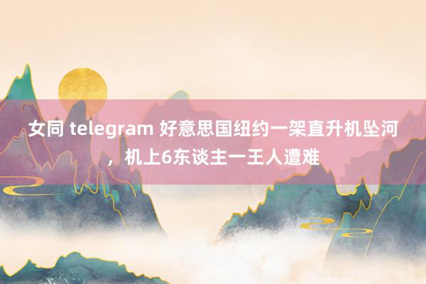 女同 telegram 好意思国纽约一架直升机坠河，机上6东谈主一王人遭难