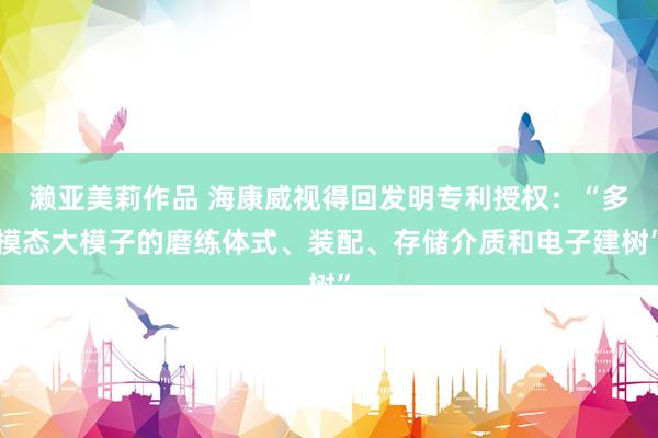 濑亚美莉作品 海康威视得回发明专利授权：“多模态大模子的磨练体式、装配、存储介质和电子建树”