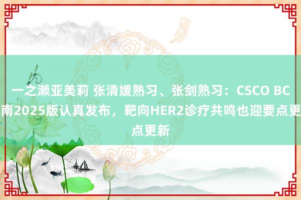 一之濑亚美莉 张清媛熟习、张剑熟习：CSCO BC指南2025版认真发布，靶向HER2诊疗共鸣也迎要点更新