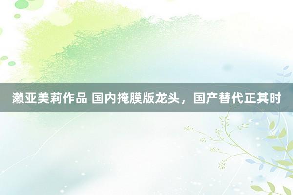 濑亚美莉作品 国内掩膜版龙头，国产替代正其时