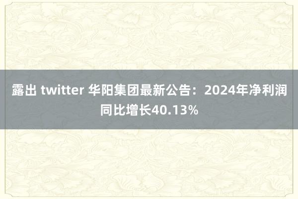 露出 twitter 华阳集团最新公告：2024年净利润同比增长40.13%