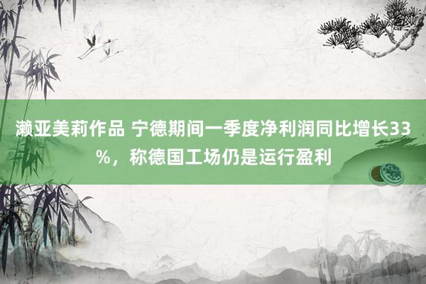 濑亚美莉作品 宁德期间一季度净利润同比增长33%，称德国工场仍是运行盈利